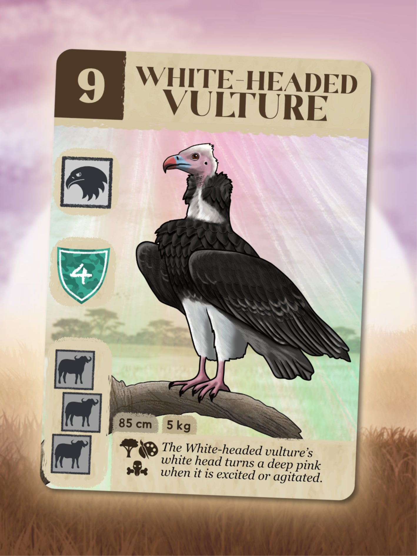 Kavango Brilliant Birds – Pre-order, limited edition! Delivering September 2026