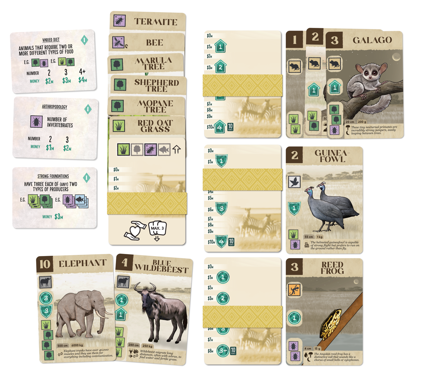 Let's Go Kavango - Pre-order, limited edition! Delivering September 2026