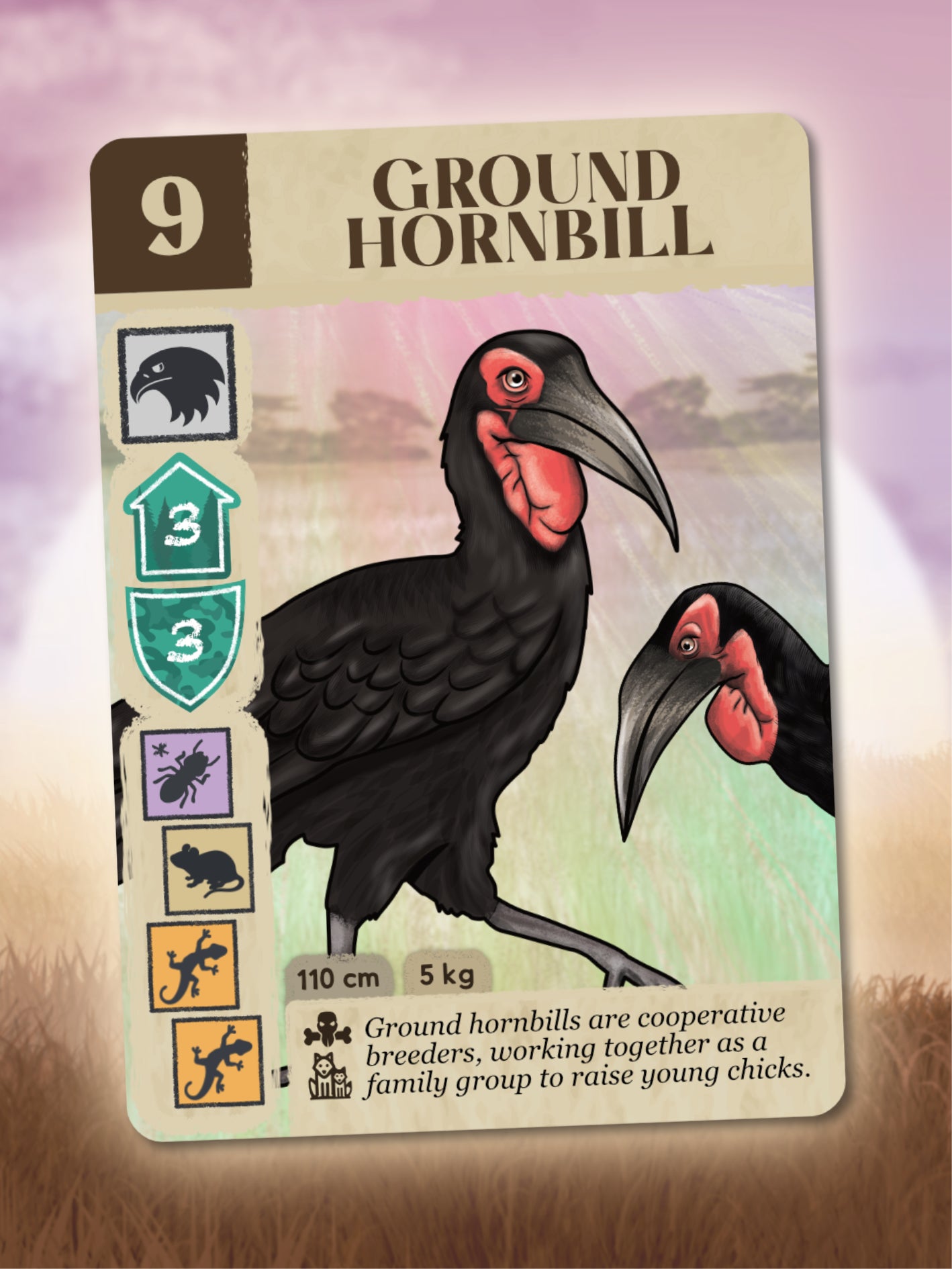 Kavango Brilliant Birds – Pre-order, limited edition! Delivering September 2026