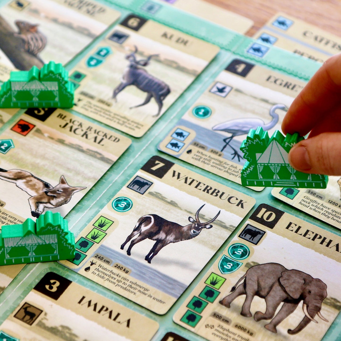 Kavango Lodges Expansion - Pre-order, limited stock! Delivery in September 2026